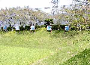 20100428tenjyo (13).jpg
